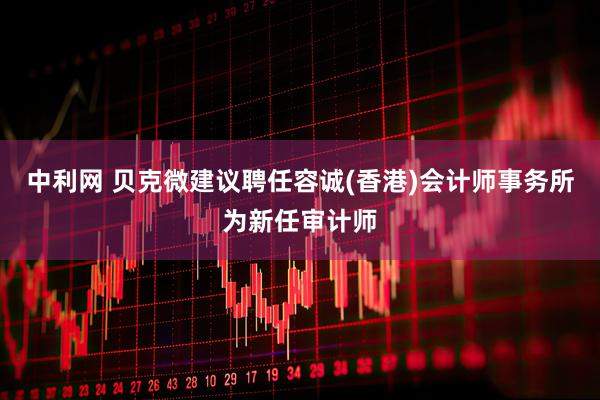 中利网 贝克微建议聘任容诚(香港)会计师事务所为新任审计师