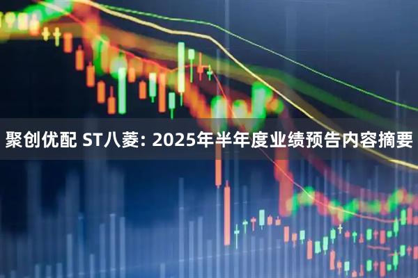 聚创优配 ST八菱: 2025年半年度业绩预告内容摘要