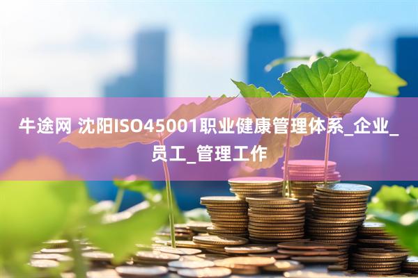 牛途网 沈阳ISO45001职业健康管理体系_企业_员工_管理工作