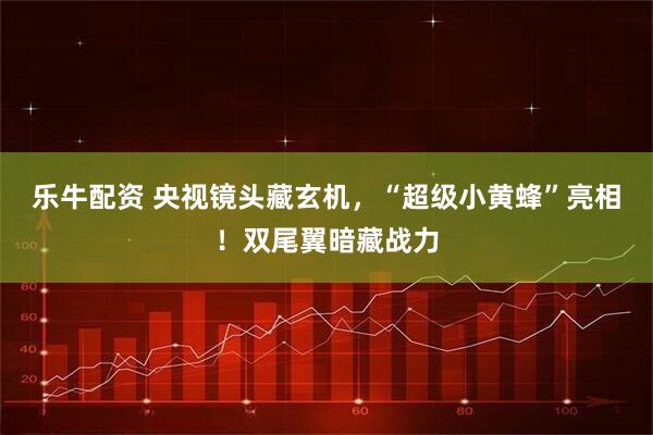 乐牛配资 央视镜头藏玄机，“超级小黄蜂”亮相！双尾翼暗藏战力