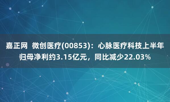 嘉正网  微创医疗(00853)：心脉医疗科技上半年归母净利约3.15亿元，同比减少22.03%