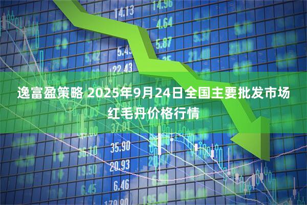 逸富盈策略 2025年9月24日全国主要批发市场红毛丹价格行情
