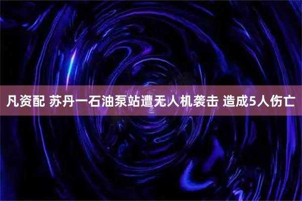 凡资配 苏丹一石油泵站遭无人机袭击 造成5人伤亡