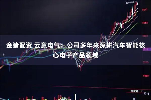 金猪配资 云意电气：公司多年来深耕汽车智能核心电子产品领域