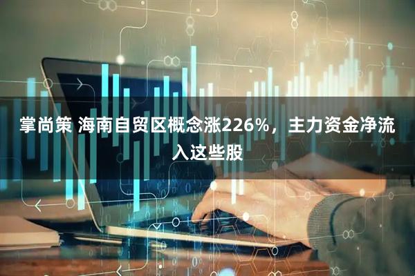 掌尚策 海南自贸区概念涨226%，主力资金净流入这些股