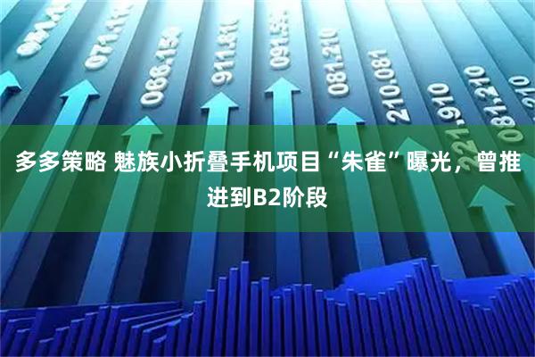 多多策略 魅族小折叠手机项目“朱雀”曝光，曾推进到B2阶段